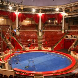 cirque - mot du glossaire Tête à modeler.   Définition et activités associées au mot cirque.