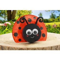 Coccinelle avec une assiette en carton