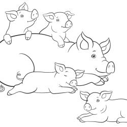 Dessin d'un cochon de la ferme à colorier avec des crayons de couleur. Un coloriage de cochon à imprimer pour colorier les animaux de la ferme