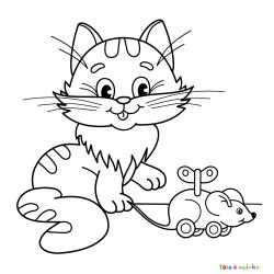 Coloriage chat - animal domestique