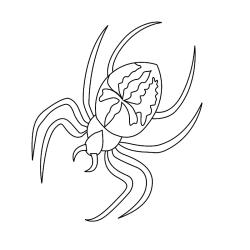 Coloriage araignée : tous nos dessins gratuits à imprimer