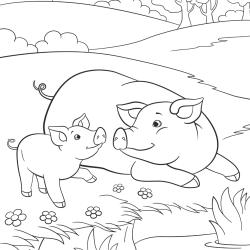 Retrouvez un coloriage de cochon et imprimez un dessin de cochon pour tous les petits amoureux de ces animaux de la ferme - Page 07