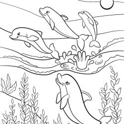 Coloriage de dauphins qui sautent dans l'eau
