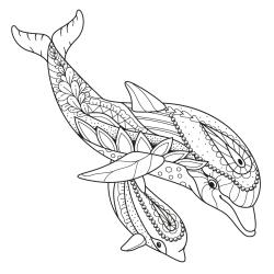 Coloriage dauphin mandalas à imprimer