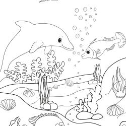 Coloriage d'un dauphin avec des poissons