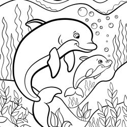 Coloriage d'un dauphin et son bébé et imprimer