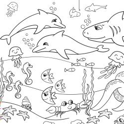 Coloriage dauphin : voici un dessin à imprimer avec un superbe dauphin. Un coloriage à imprimer sur le thème des dauphins et des animaux marins - Page 21