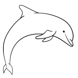 Coloriage dauphin : voici un dessin à imprimer avec un superbe dauphin. Un coloriage à imprimer sur le thème des dauphins et des animaux marins - Page 22