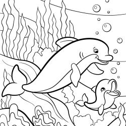 Coloriage dauphin : voici un dessin à imprimer avec un superbe dauphin. Un coloriage à imprimer sur le thème des dauphins et des animaux marins - Page 23