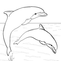 Coloriage de dauphin pour les enfants, à télécharger gratuitement et à imprimer. Un coloriage sur le thème de la mer pour occuper les enfants. Ce coloriage pourra être utilisé pour illustrer des dessi