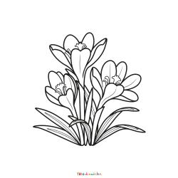 Retrouvez un coloriage de fleurs à télécharger et imprimez un joli dessin aux enfants qui aiment la nature