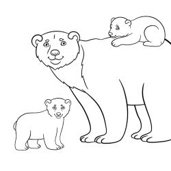 Coloriage de l'ours au bonnet de nuit