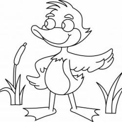 Coloriage des canards