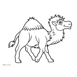 Retrouvez un coloriage de dromadaire et imprimez un dessin de dromadaire pour tous les petits amoureux de ces animaux du désert - Page 01