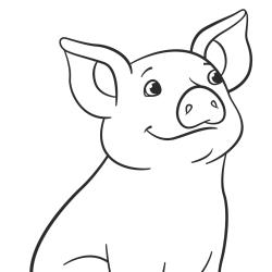 Coloriage du cochon