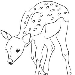 Retrouvez un coloriage de cerf ! Un dessin à imprimer gratuitement sur le thème des animaux de la forêt - Page 08