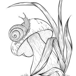 Voici un coloriage d'un champignon à imprimer gratuitement. Un joli dessin à colorier sur le thème de l'automne et de la nature. Modèle 01