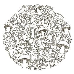 Voici un coloriage d'un champignon à imprimer gratuitement. Un joli dessin à colorier sur le thème de l'automne et de la nature. Modèle 07