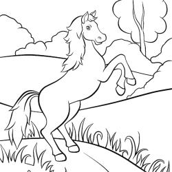 Coloriage d'un cheval à imprimer gratuitement pour les amoureux de l'équitation.