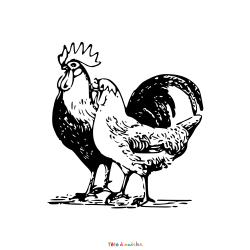 Retrouvez le coloriage d'un coq et une poule de Pâques et imprimez un dessin aux enfants pour cette jolie fête de printemps
