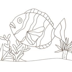 Imprimer et colorier le dessin d'un gros poisson clown Imprimer et colorier le dessin d'un gros poisson clown