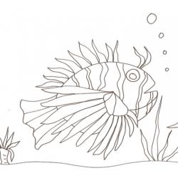 Imprimer le coloriage d'un gros poisson herisson Imprimer le coloriage d'un gros poisson herisson