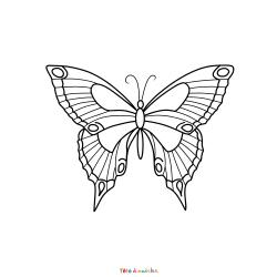Retrouvez le Coloriage d'un papillon en PDF et imprimez aux enfants un dessin sur le printemps