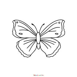 Retrouvez le Coloriage d'un papillon facile et imprimez aux enfants un dessin pour le printemps
