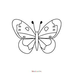 Retrouvez le coloriage d'un papillon maternelle et imprimez aux enfants un dessin pour le printemps