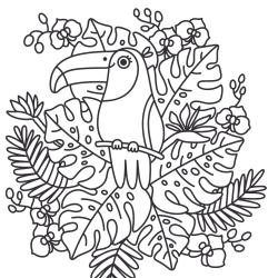 coloriage d'un toucan