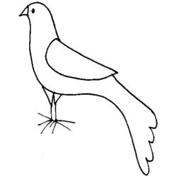 coloriage d'une colombe de Noël