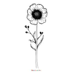 Retrouvez le coloriage d'une fleur anémone et imprimez aux enfants un joli dessin sur le thème de la nature