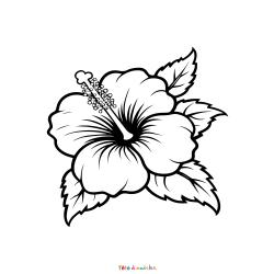Retrouvez le coloriage d'une fleur d'hibiscus et imprimez aux enfants un dessin sur le thème de la nature