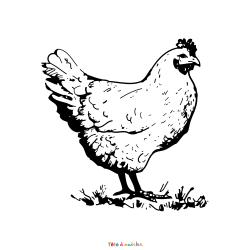 Retrouvez le coloriage d'une poule de Pâques réaliste à imprimer et téléchargez un joli dessin pour le printemps