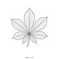Téléchargez gratuitement ce coloriage d'une feuille de châtaignier à imprimer pour découvrir les arbres de l'automne.