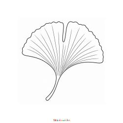 Découvrez ce coloriage gratuit d'une feuille de ginkgo à imprimer. Une activité idéale pour découvrir un arbre unique.