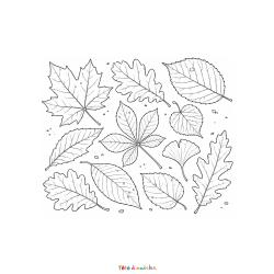 Imprimez gratuitement ce coloriage de feuilles mortes. De jolies feuilles d'automne à colorier pour enfants en PDF.