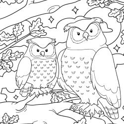 Retrouvez un coloriage de hibou ! Un dessin à imprimer gratuitement sur le thème des animaux de la forêt - Page 02