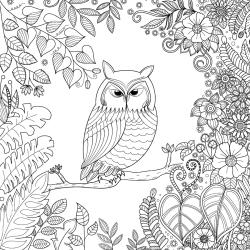 Retrouvez un coloriage de hibou à télécharger et imprimez un dessin aux enfants qui aiment cet oiseau mystérieux.