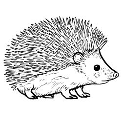 Retrouvez le Coloriage d'un hérisson réaliste et imprimez un dessin aux enfants qui aiment ce petit animal