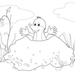 Coloriage d'une taupe : un dessin à imprimer gratuitement pour tous les petits amoureux des animaux - Page 09