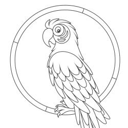Coloriage oiseau perroquet