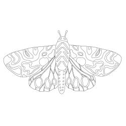 Coloriage papillon : voici un dessin à imprimer avec un joli papillon. Un coloriage à imprimer sur le thème des papillons - Page 9