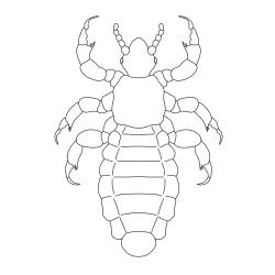 Découvrez notre sélection de modèles de coloriages de poux à imprimer gratuitement pour parler de ces petites bêtes avec les enfants - Page 02