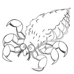 Découvrez notre sélection de modèles de coloriages de poux à imprimer gratuitement pour parler de ces petites bêtes avec les enfants - Page 06