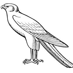 Coloriage rapace : voici un dessin à imprimer avec une joli rapace. Un coloriage à imprimer sur le thème des oiseaux  - Page 02