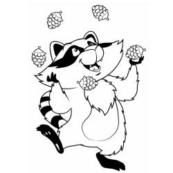 Coloriages de Monsieur raton. Dessins sur les raton laveur à imprimer. Coloriages du personnage animalier autour du raton laveur