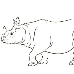 Ce coloriage de rhinocéros est à télécharger et imprimer gratuitement pour faire plaisir à tous les amoureux des animaux de la savane - Page 9