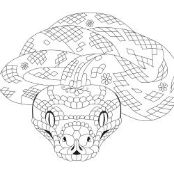 Coloriage serpent : un dessin de serpent à imprimer gratuitement pour les petits amoureux des animaux et des reptiles - Page 9