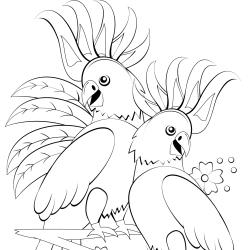 Coloriage tete de perroquet